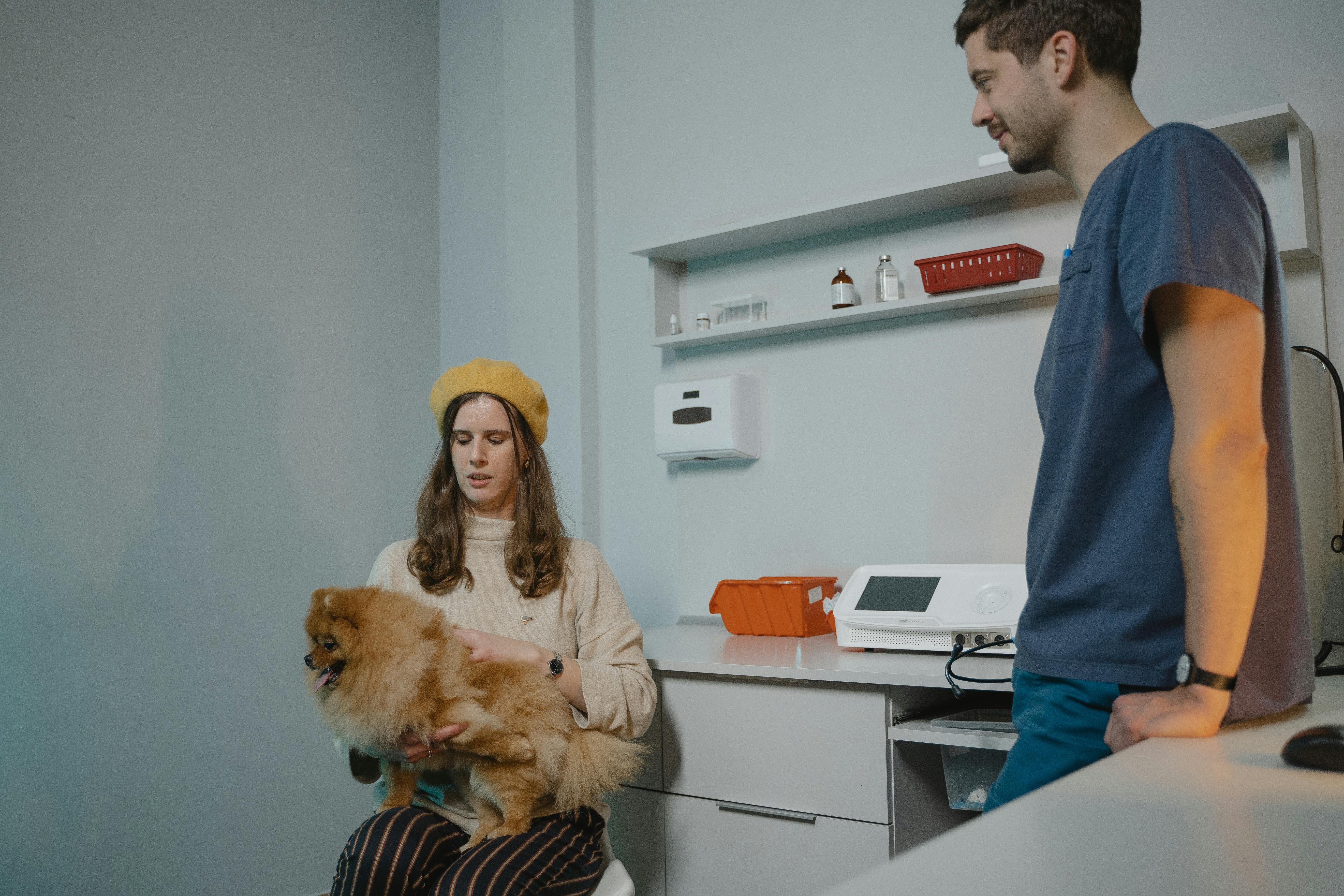 Dog training