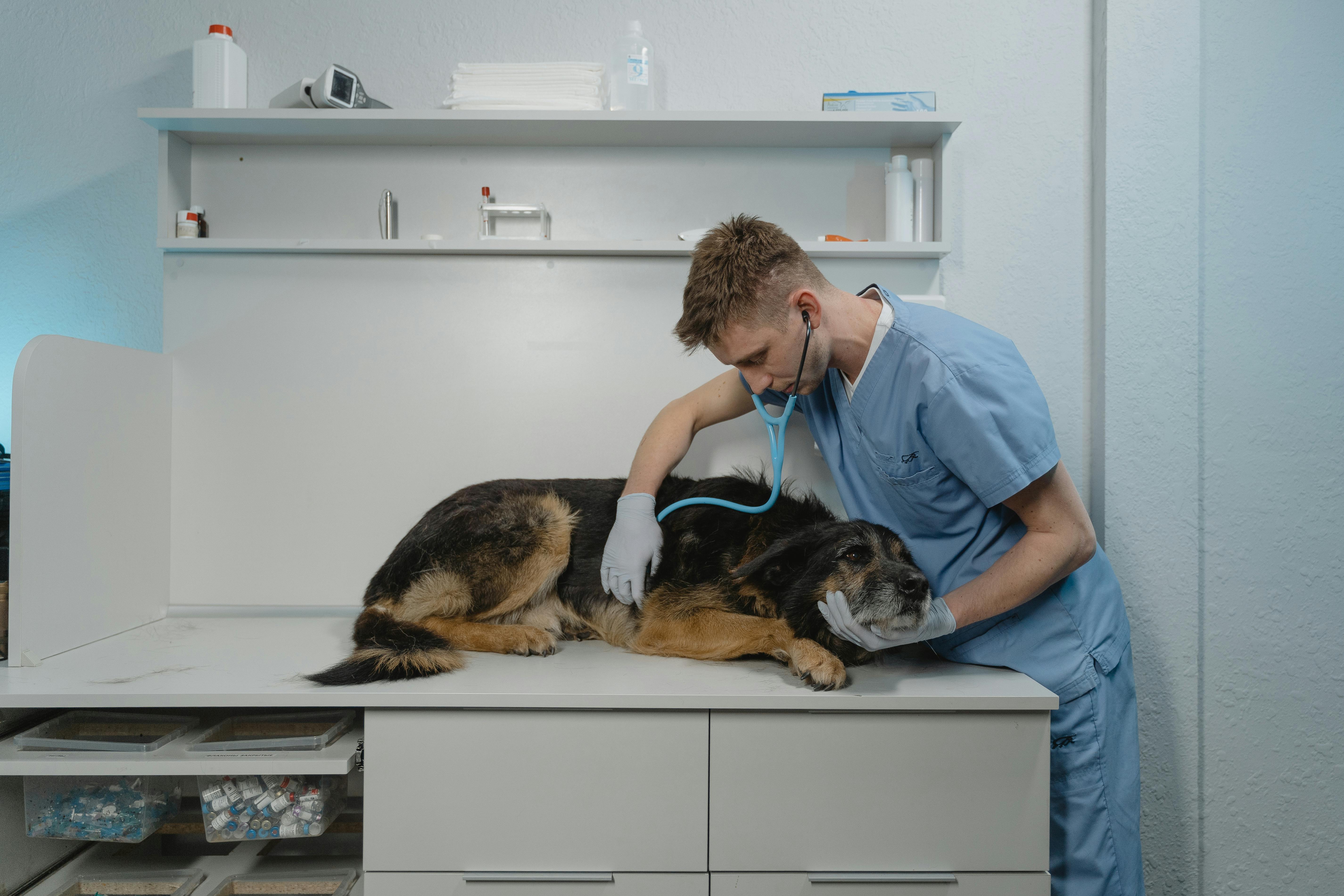 Owner and Dog