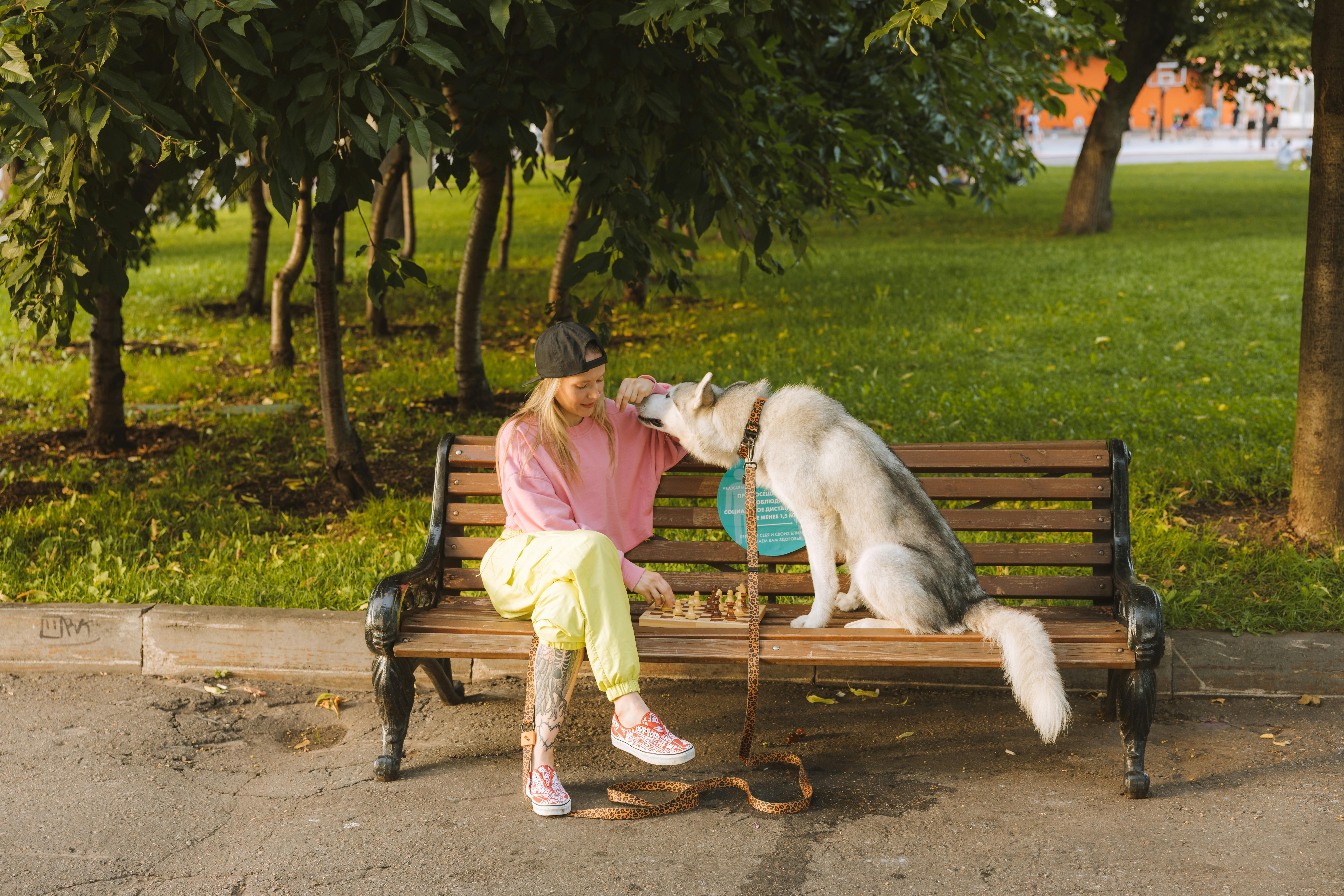 Dog nutrition planning